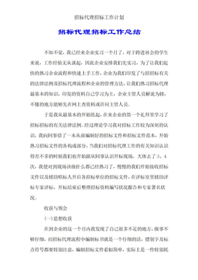 招标代理工作计划 构建高效、规范、专业的招标代理服务体系