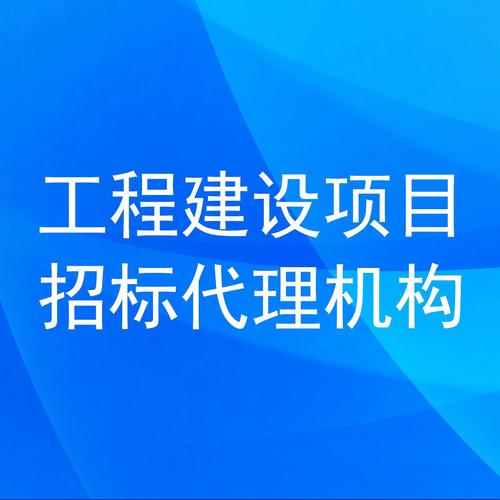 工程建设项目招标代理机构 角色、职能与选择指南